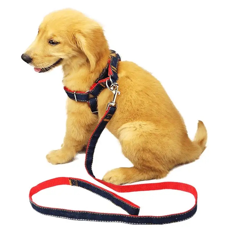 အိမ်မွေးတိရိစ္ဆာန်ဆွဲငင်မှုအတွက် Polyester Webbing အတွက် မတူညီသော အိမ်မွေးတိရစ္ဆာန်အရွယ်အစားများနှင့် လိုက်ဖက်သော အနံနှင့် အထူသည် အဘယ်နည်း။